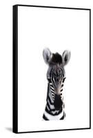 Baby Zebra-Leah Straatsma-Framed Stretched Canvas