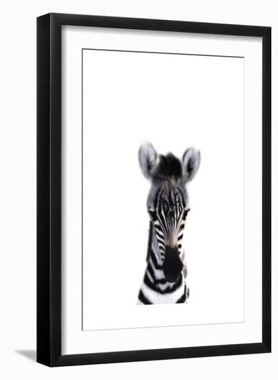 Baby Zebra-Leah Straatsma-Framed Art Print