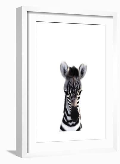Baby Zebra-Leah Straatsma-Framed Art Print
