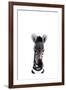 Baby Zebra-Leah Straatsma-Framed Art Print