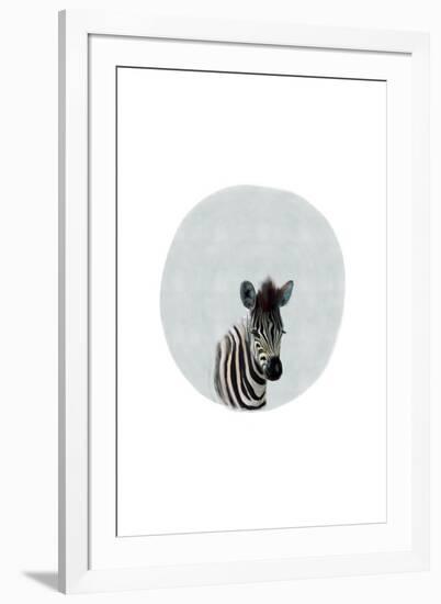 Baby Zebra-Leah Straatsma-Framed Art Print