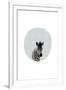 Baby Zebra-Leah Straatsma-Framed Art Print