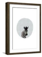 Baby Zebra-Leah Straatsma-Framed Art Print