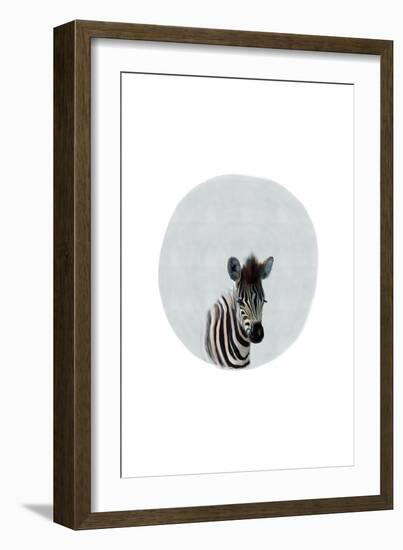 Baby Zebra-Leah Straatsma-Framed Art Print