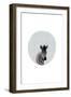 Baby Zebra-Leah Straatsma-Framed Art Print