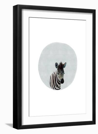 Baby Zebra-Leah Straatsma-Framed Art Print