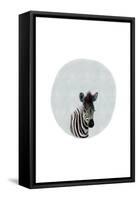 Baby Zebra-Leah Straatsma-Framed Stretched Canvas