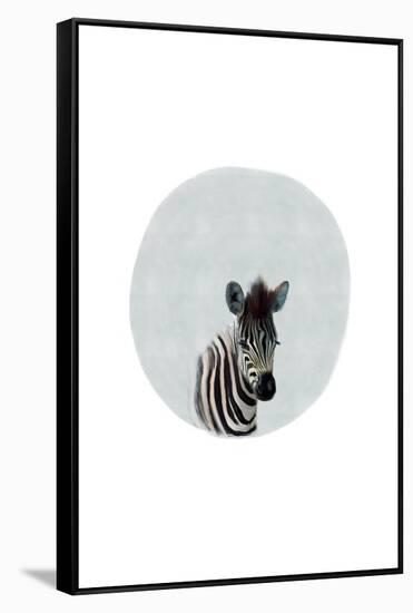 Baby Zebra-Leah Straatsma-Framed Stretched Canvas