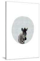 Baby Zebra-Leah Straatsma-Stretched Canvas