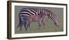 Baby Zebra-Jun Zuo-Framed Photographic Print