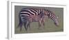 Baby Zebra-Jun Zuo-Framed Photographic Print