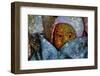 Baby-Andr? Burian-Framed Photographic Print