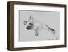 Baby-Vincent Alexander Booth-Framed Photographic Print