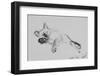 Baby-Vincent Alexander Booth-Framed Photographic Print