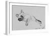 Baby-Vincent Alexander Booth-Framed Photographic Print