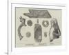 Babylonian Antiquities at the British Museum-null-Framed Giclee Print