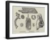 Babylonian Antiquities at the British Museum-null-Framed Giclee Print