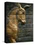 Babylonian Wall Tiles, Babylon, Iraq, Middle East-Christina Gascoigne-Stretched Canvas