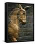 Babylonian Wall Tiles, Babylon, Iraq, Middle East-Christina Gascoigne-Framed Stretched Canvas