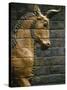 Babylonian Wall Tiles, Babylon, Iraq, Middle East-Christina Gascoigne-Stretched Canvas