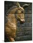 Babylonian Wall Tiles, Babylon, Iraq, Middle East-Christina Gascoigne-Stretched Canvas