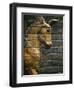 Babylonian Wall Tiles, Babylon, Iraq, Middle East-Christina Gascoigne-Framed Photographic Print