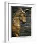 Babylonian Wall Tiles, Babylon, Iraq, Middle East-Christina Gascoigne-Framed Photographic Print