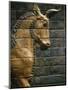 Babylonian Wall Tiles, Babylon, Iraq, Middle East-Christina Gascoigne-Mounted Photographic Print