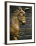 Babylonian Wall Tiles, Babylon, Iraq, Middle East-Christina Gascoigne-Framed Photographic Print