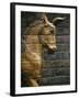 Babylonian Wall Tiles, Babylon, Iraq, Middle East-Christina Gascoigne-Framed Photographic Print