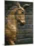 Babylonian Wall Tiles, Babylon, Iraq, Middle East-Christina Gascoigne-Mounted Photographic Print