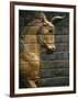 Babylonian Wall Tiles, Babylon, Iraq, Middle East-Christina Gascoigne-Framed Photographic Print