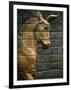 Babylonian Wall Tiles, Babylon, Iraq, Middle East-Christina Gascoigne-Framed Photographic Print