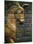 Babylonian Wall Tiles, Babylon, Iraq, Middle East-Christina Gascoigne-Mounted Photographic Print