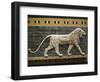 Babylonian Wall Tiles, Exhibited at the Turkey Museum, Istanbul, from Babylon, Iraq, Middle East-Christina Gascoigne-Framed Photographic Print