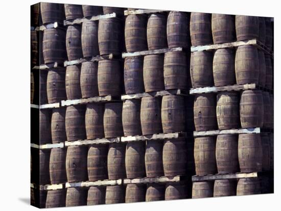 Bacardi Rum Ages in Oak Barrels, San Juan, Puerto Rico-Michele Molinari-Stretched Canvas