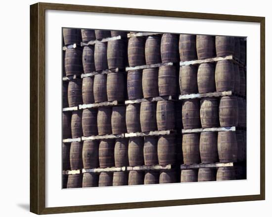 Bacardi Rum Ages in Oak Barrels, San Juan, Puerto Rico-Michele Molinari-Framed Photographic Print