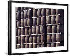 Bacardi Rum Ages in Oak Barrels, San Juan, Puerto Rico-Michele Molinari-Framed Photographic Print