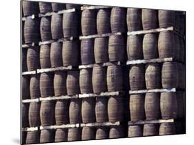 Bacardi Rum Ages in Oak Barrels, San Juan, Puerto Rico-Michele Molinari-Mounted Photographic Print