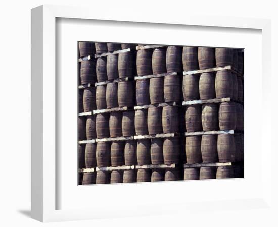 Bacardi Rum Ages in Oak Barrels, San Juan, Puerto Rico-Michele Molinari-Framed Photographic Print