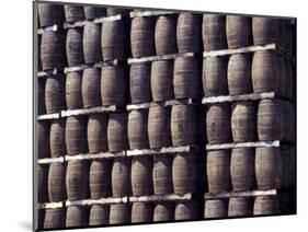 Bacardi Rum Ages in Oak Barrels, San Juan, Puerto Rico-Michele Molinari-Mounted Photographic Print