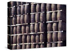 Bacardi Rum Ages in Oak Barrels, San Juan, Puerto Rico-Michele Molinari-Stretched Canvas