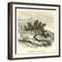 Baccharis Obtusifolia-Édouard Riou-Framed Giclee Print