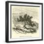 Baccharis Obtusifolia-Édouard Riou-Framed Giclee Print