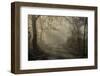 Bacchereto wood, Carmignano, Prato, Italy-ClickAlps-Framed Photographic Print