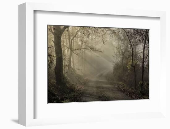 Bacchereto wood, Carmignano, Prato, Italy-ClickAlps-Framed Photographic Print