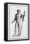 Bacchus, after a Roman Statue, 1757-Bernard De Montfaucon-Framed Stretched Canvas