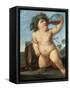 Bacchus As a Boy-Guido Reni-Framed Stretched Canvas