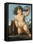 Bacchus As a Boy-Guido Reni-Framed Stretched Canvas