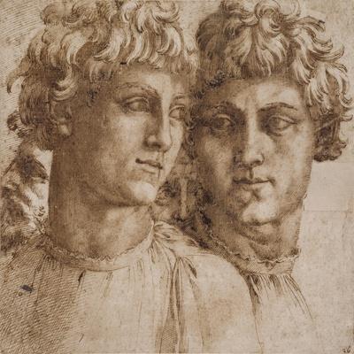 Two Studies of the Head of a Youth, C.1550